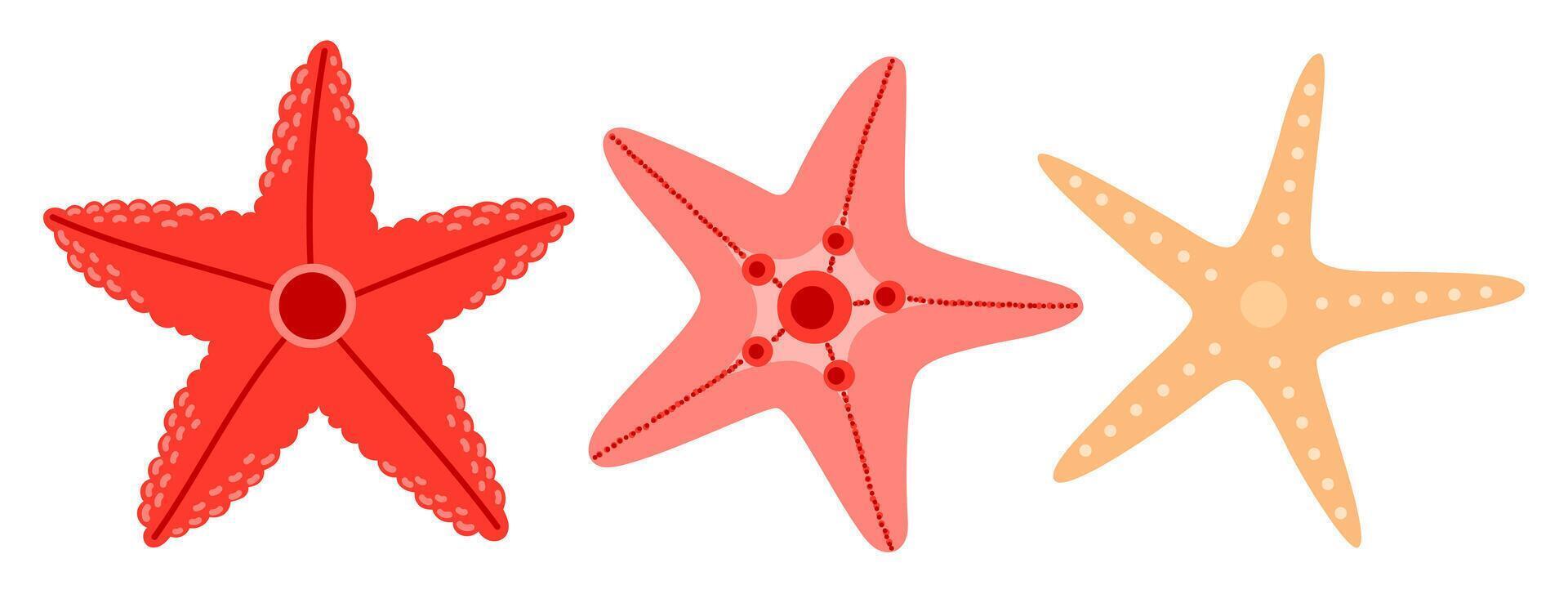 Sea starfish. Ocean exotic underwater star collection stickers. Hand drawn illustration isolated on white background vector