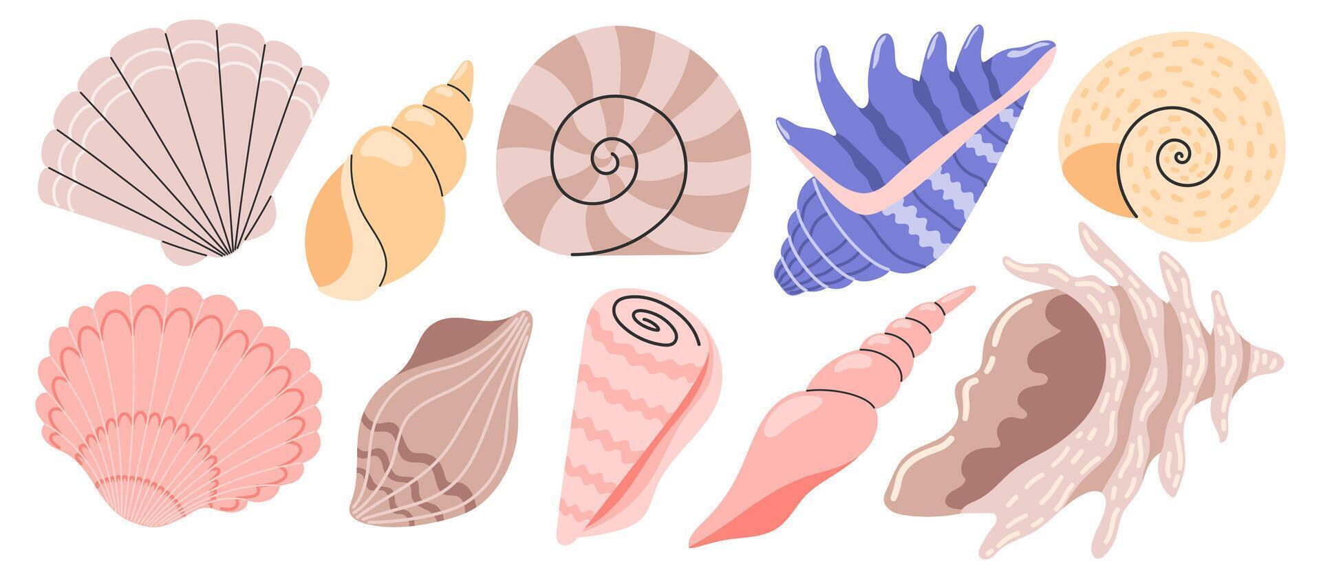 Sea shells set, mollusks, sea spiral snail. Ocean exotic underwater seashells collection stickers. Hand drawn illustration isolated on white background vector