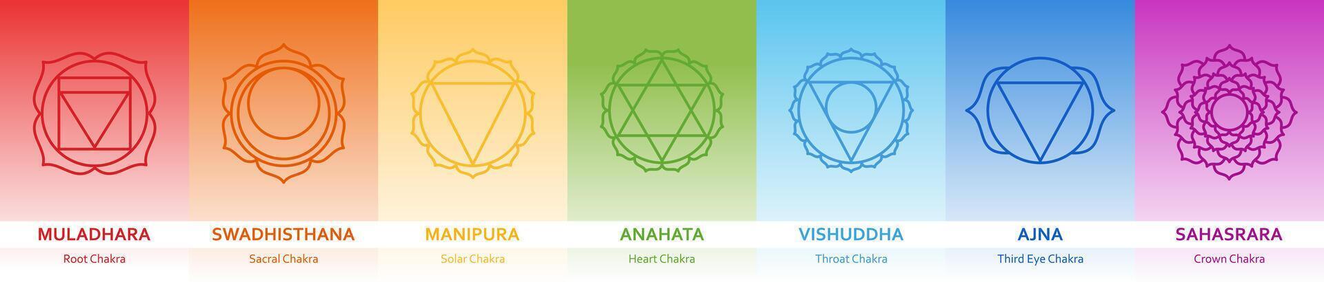 Chakras muladhara, swadhisthana, manipura, anahata, vishuddha, ajna, sahasrara. Basic human chakra system. Root, Navel, Solar plexus, Heart, Throat, Third eye, Crown line sign. illustration vector