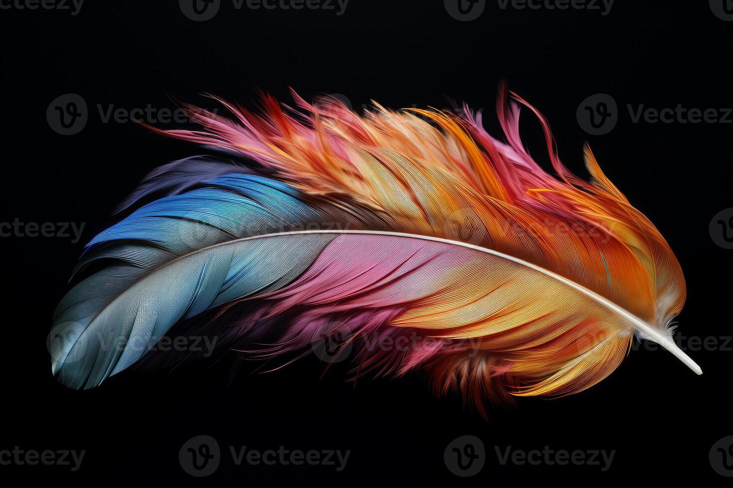 Colorful feather showing gradient colors on black background photo