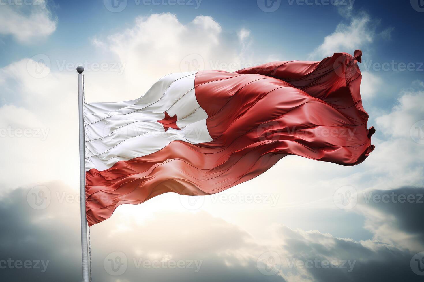 Tongan red and white flag waving in the wind photo