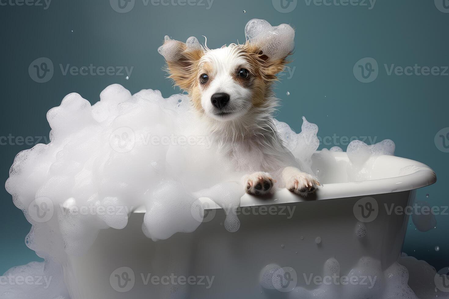 Cute dog taking a relaxing bath covered in soap suds photo