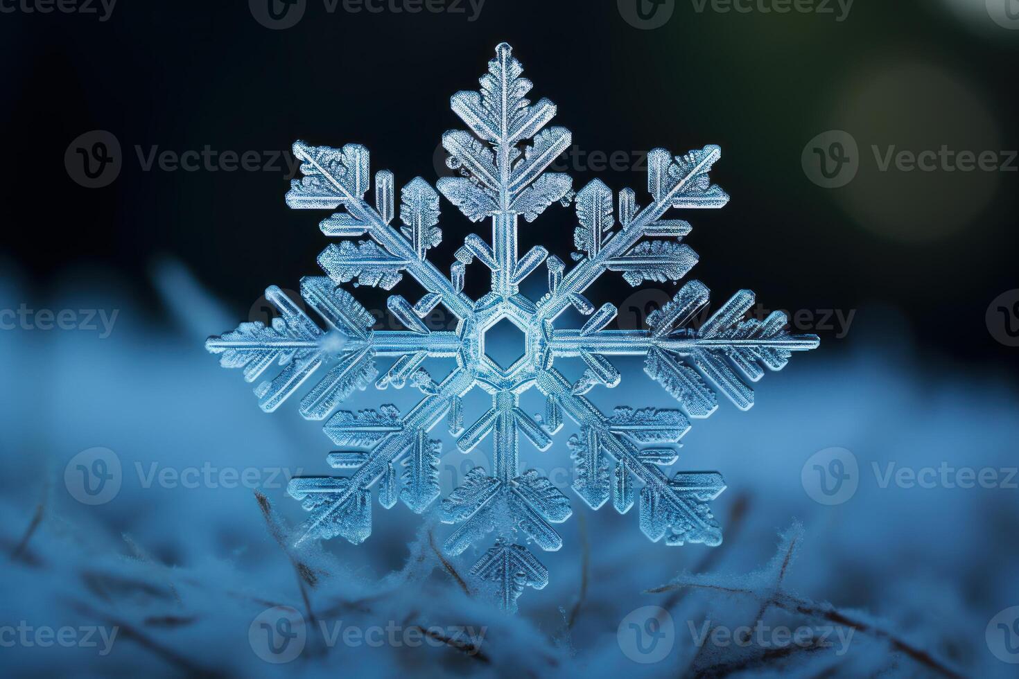 Close up of snowflake resting on frozen ground in winter wonderland photo