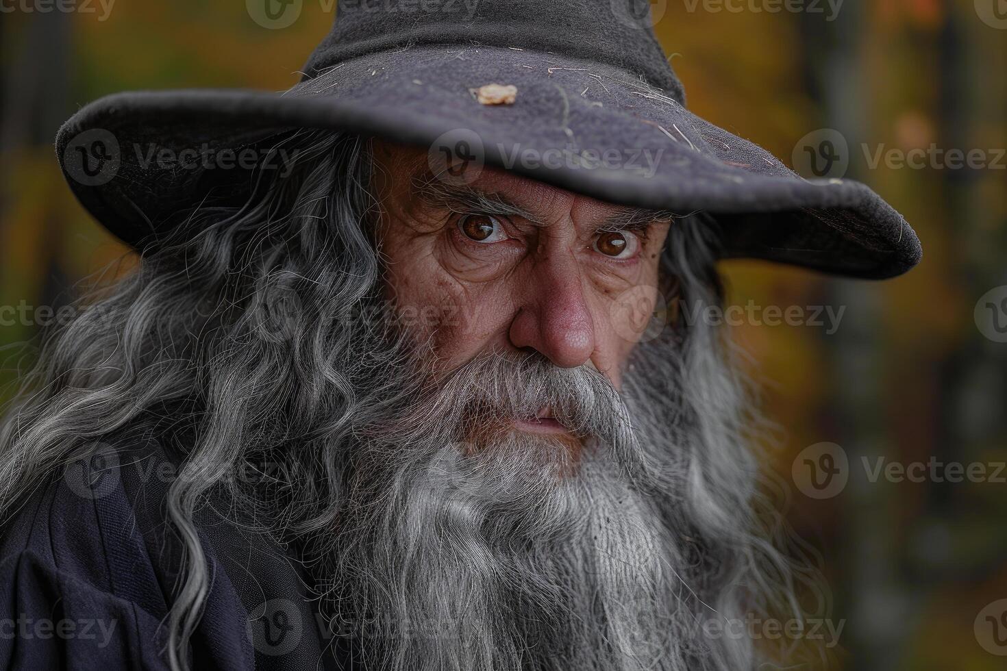 Senior wizard wearing pointed hat and long gray hair and beard in autumnal forest photo