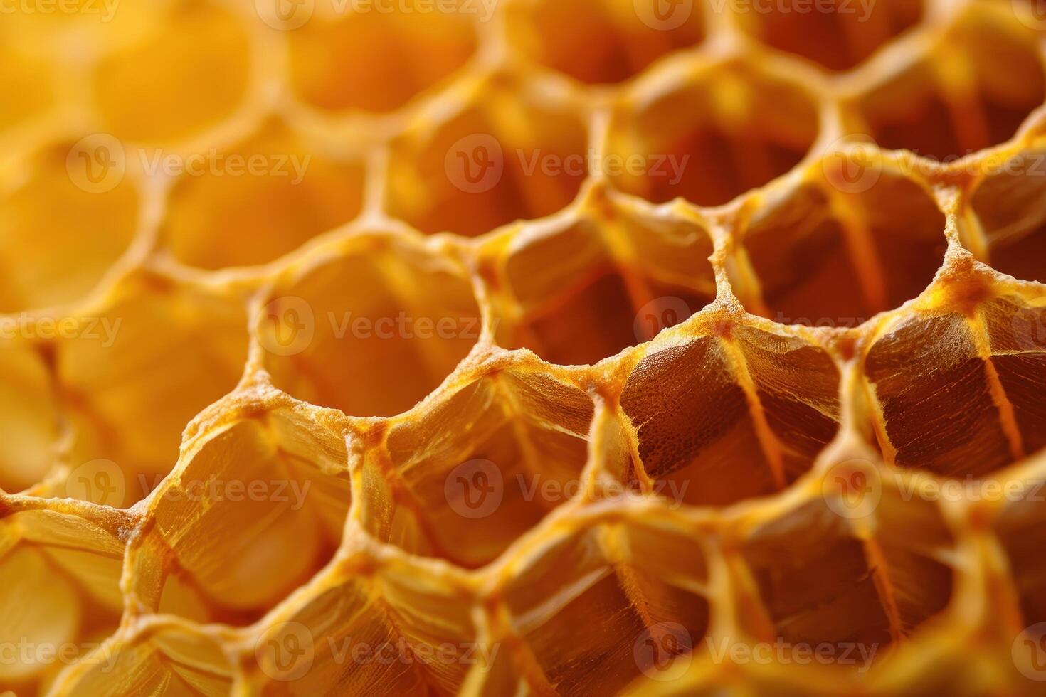 Close up of empty golden honeycomb structure showing perfect hexagons photo