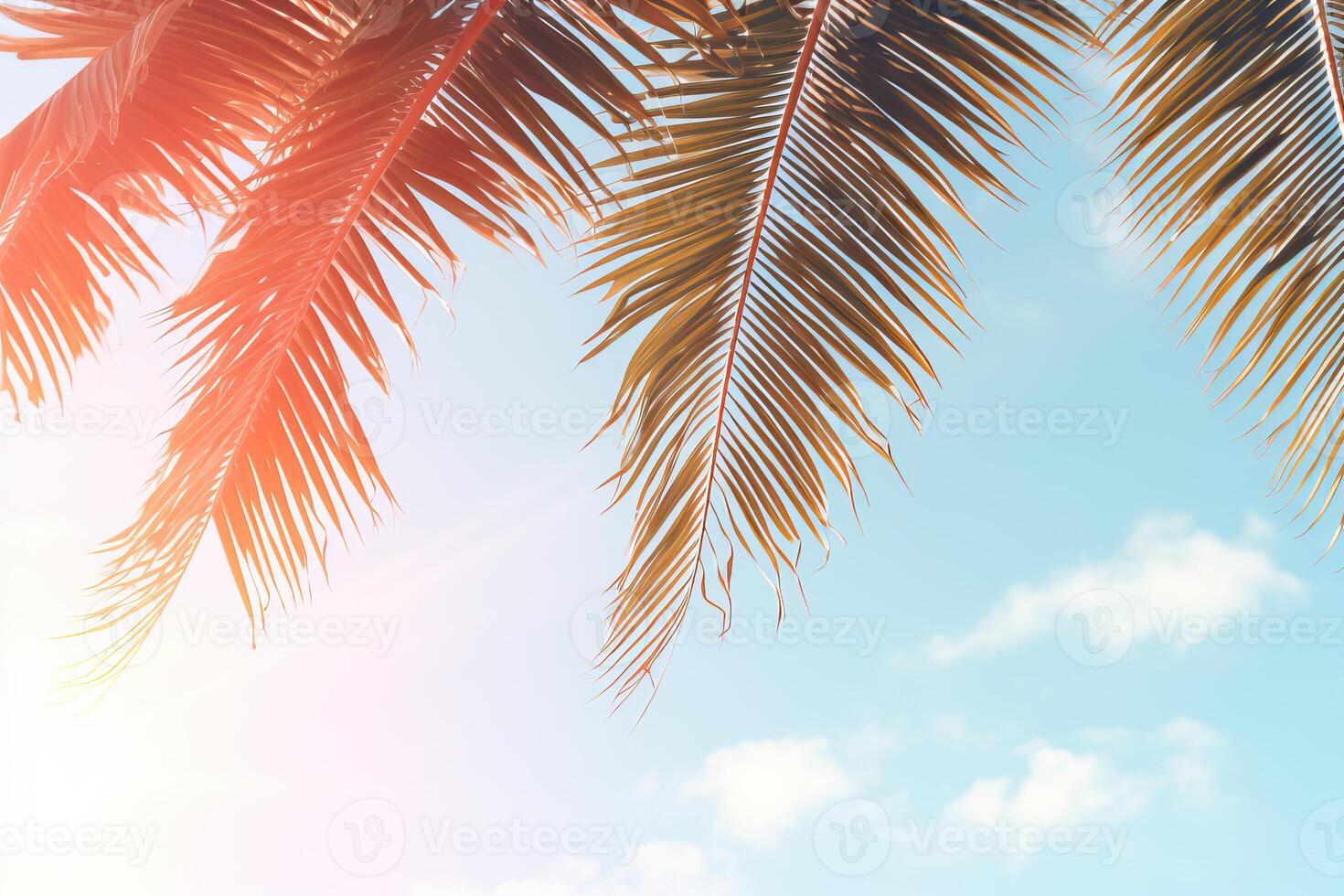 Palm trees branches covering sunlight on tropical beach paradise photo