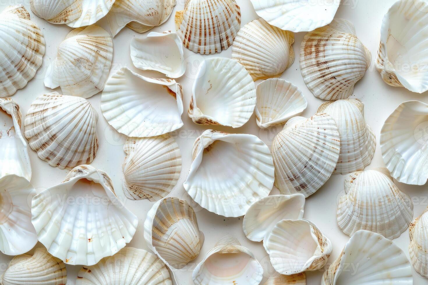 Variety of seashells forming intricate pattern on beige background photo