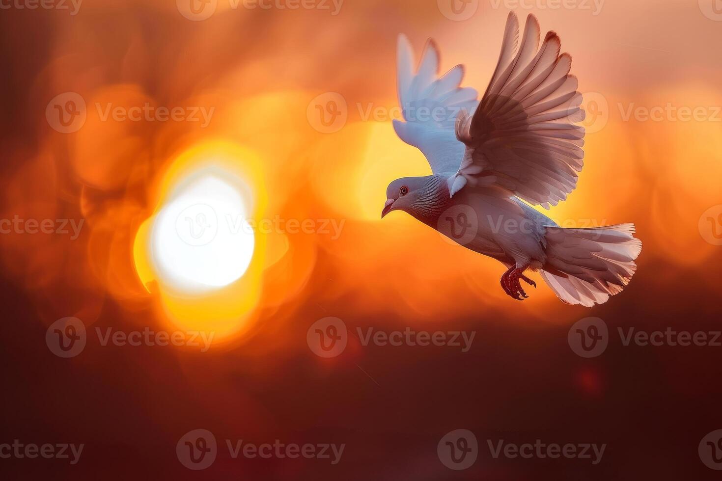White dove flying at majestic sunset, a symbol of peace and hope photo