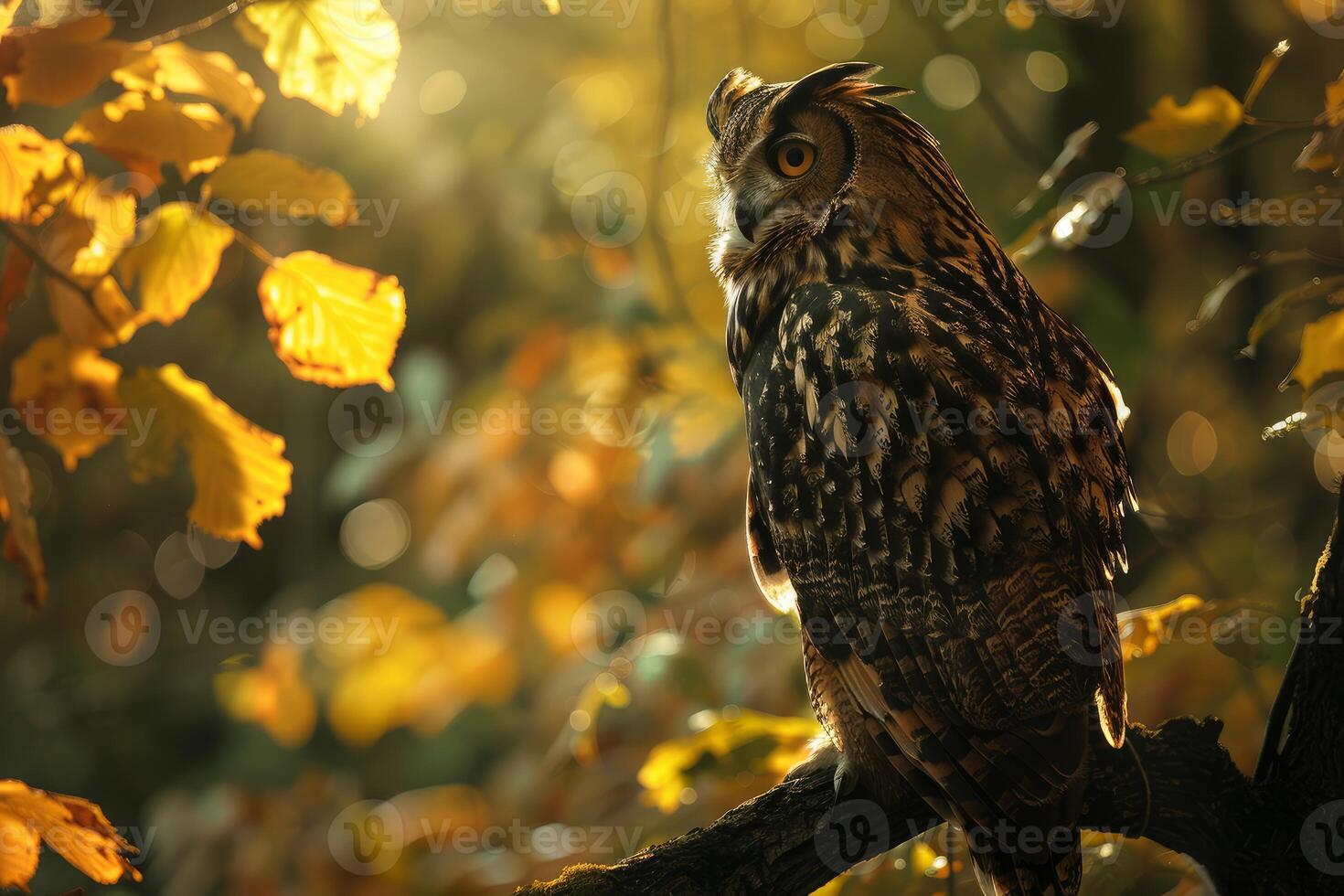 Eurasian eagle owl perched on branch with autumn leaves in background photo