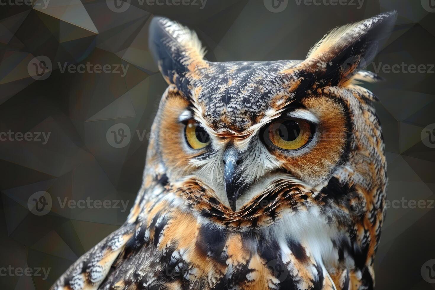 Great horned owl staring with intense gaze on geometric background photo
