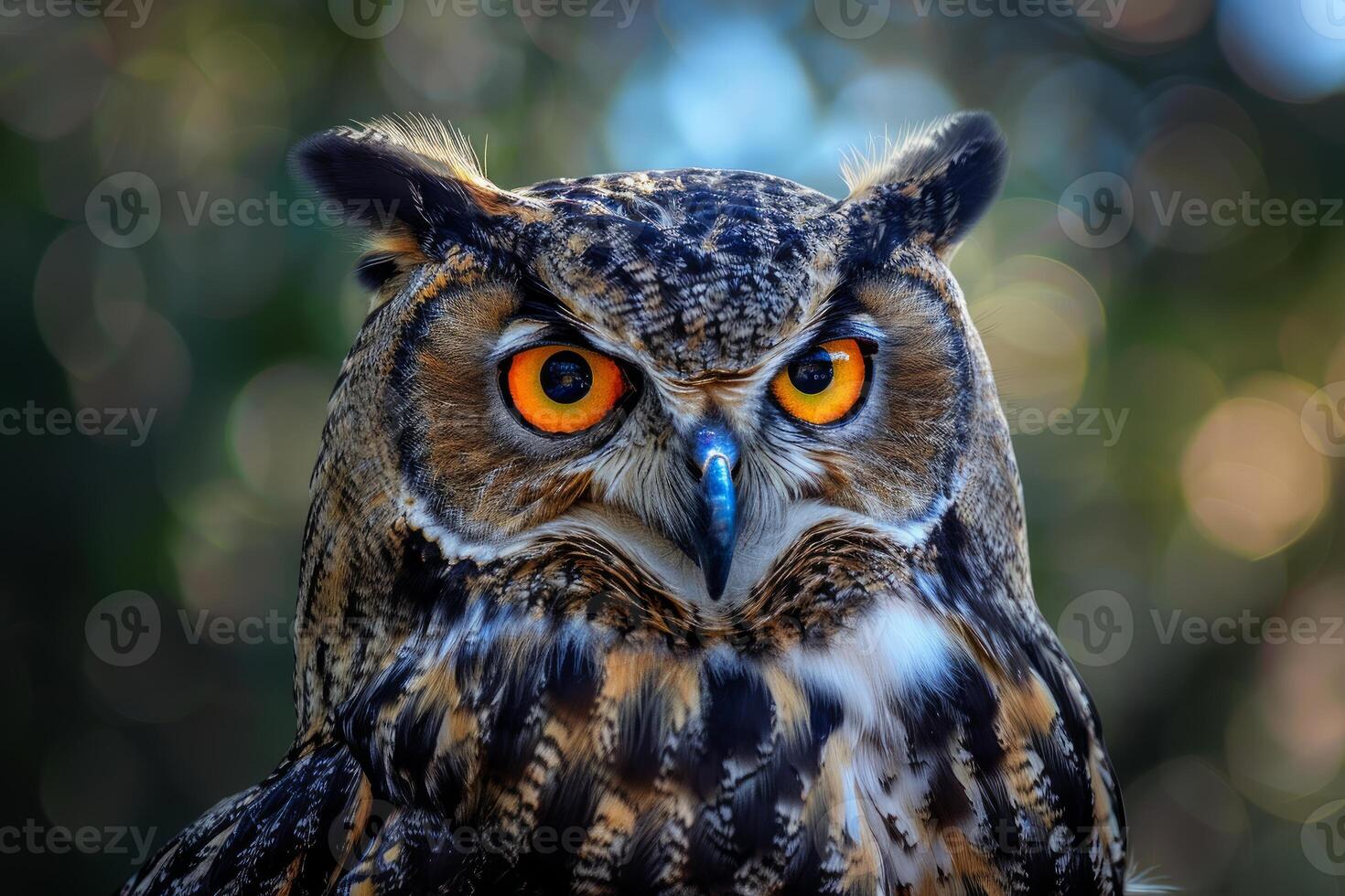 Great horned owl staring with intense orange eyes in nature photo