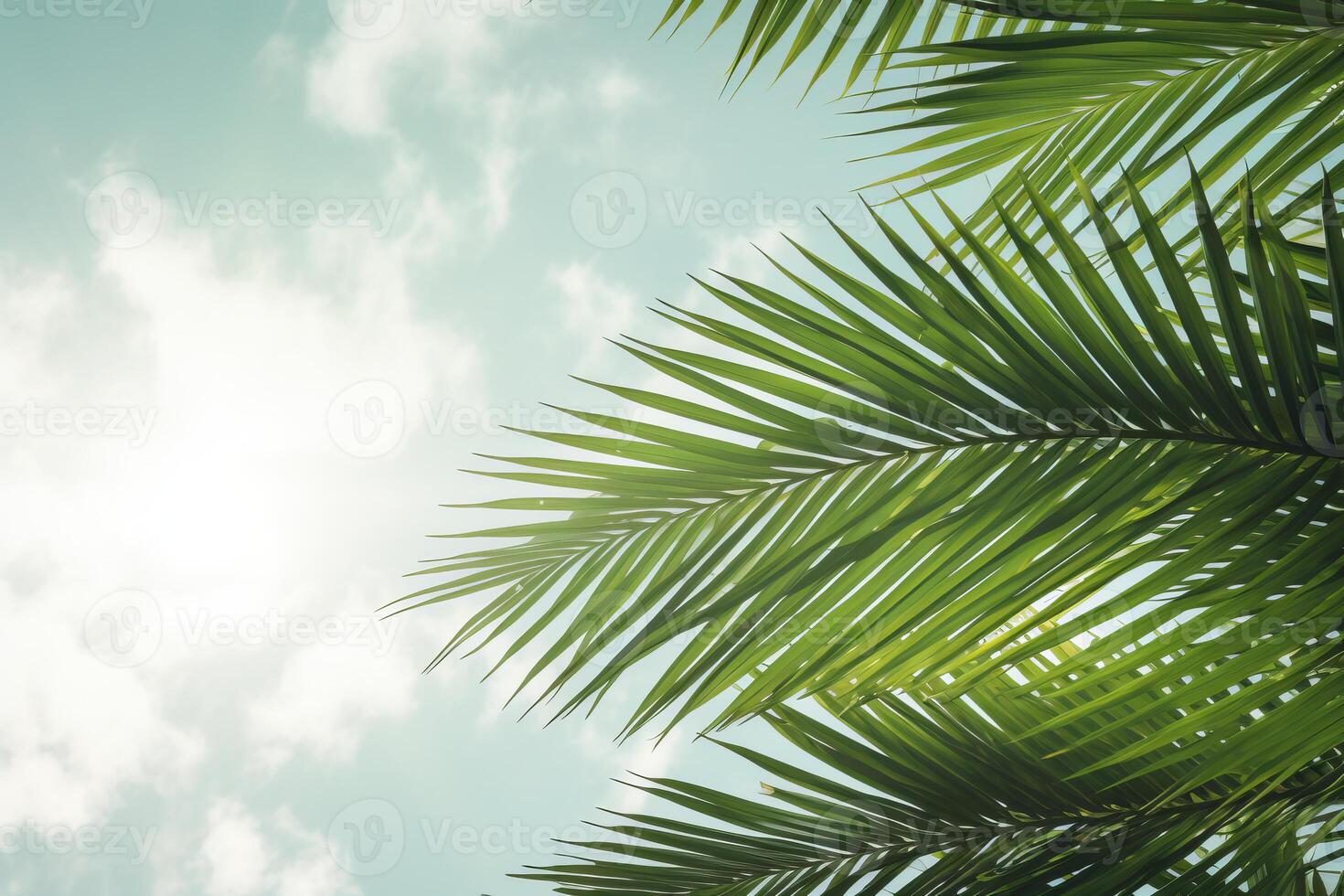 Palm tree leaves swaying gently in the tropical breeze under a cloudy sky photo