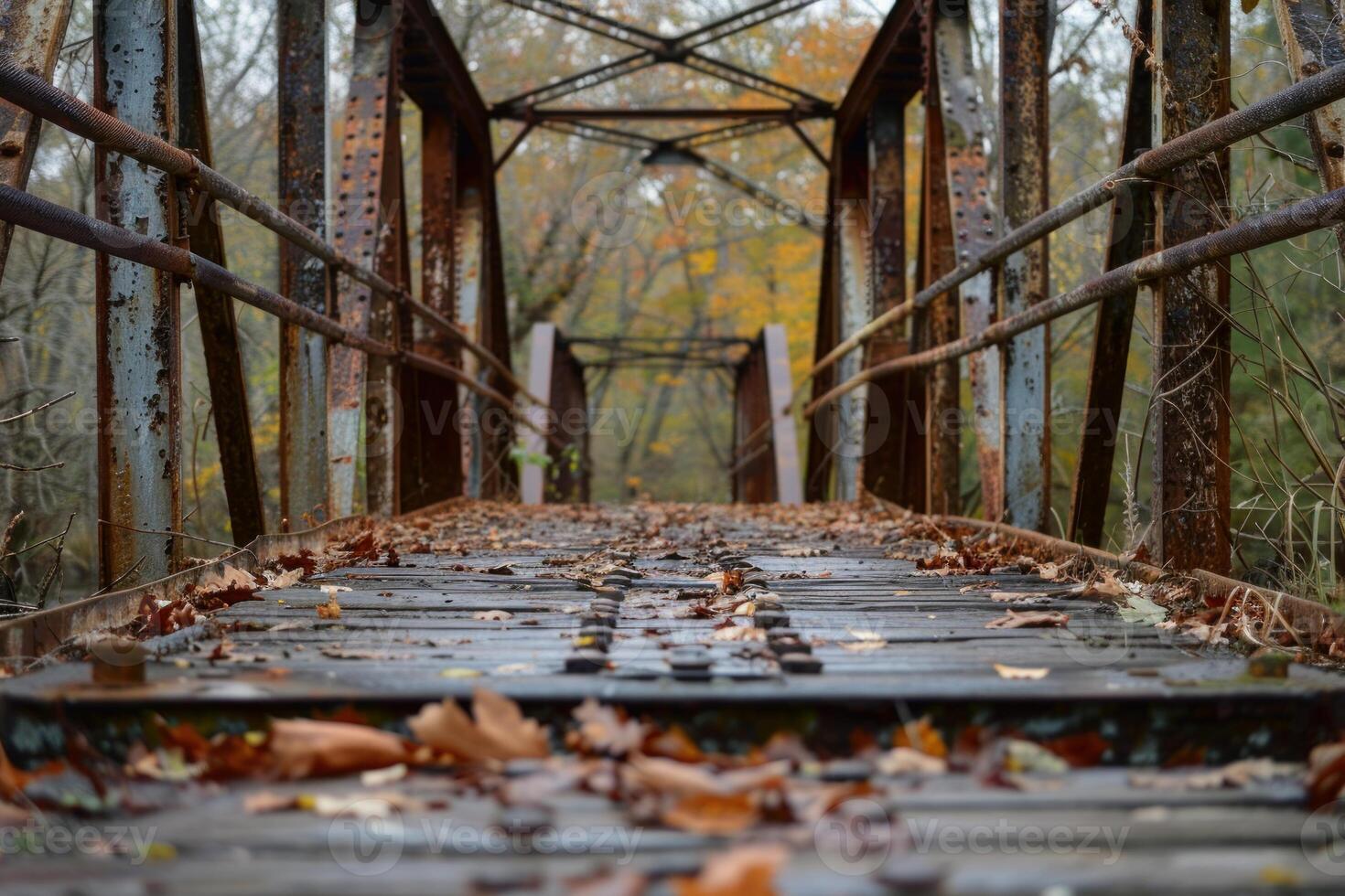Old rusty bridge covered with autumn leaves in a forest photo