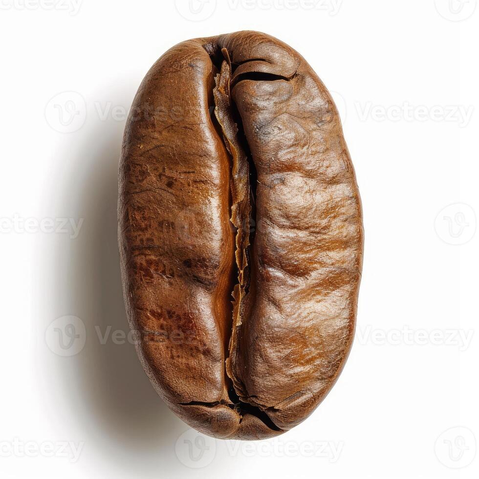 Roasted coffee bean showing texture and rich brown color on white background photo