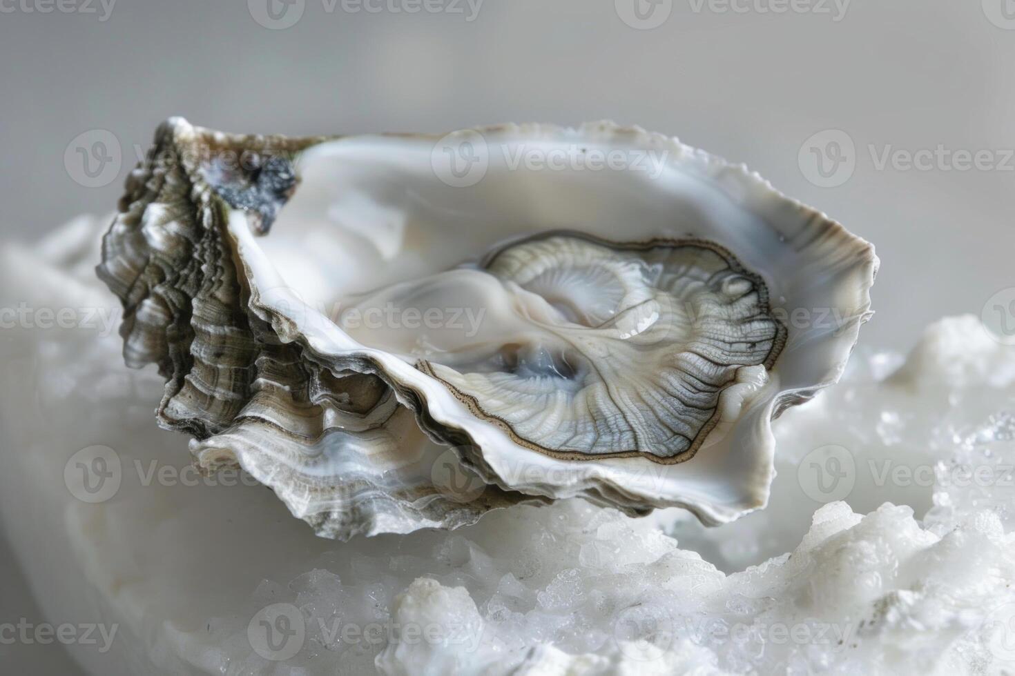 Fresh oyster shell resting on crushed ice, ready for consumption photo