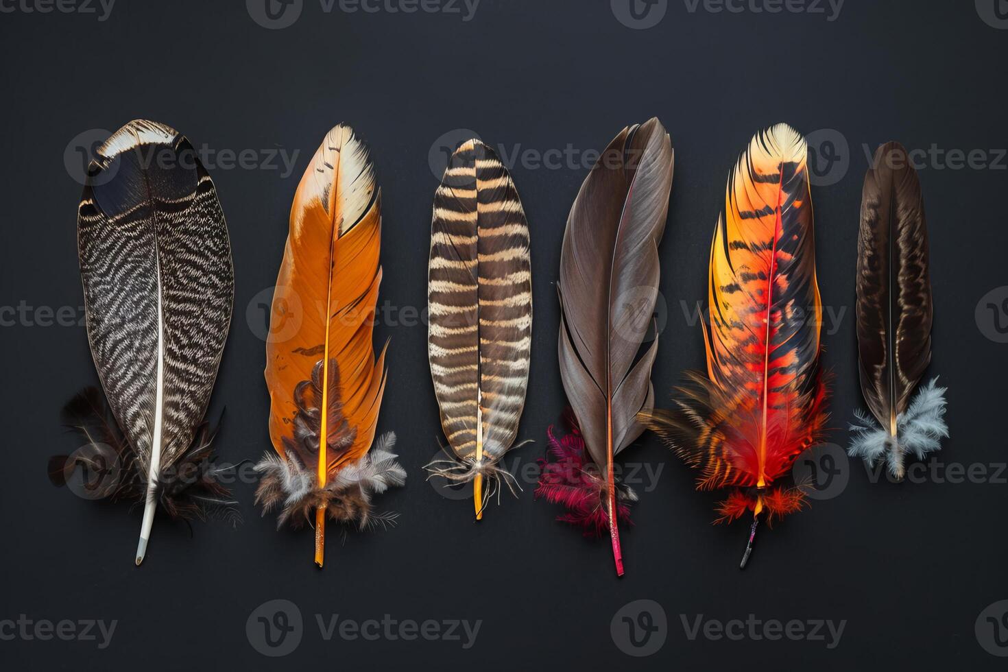 Colorful feathers showing diversity and beauty on black background photo