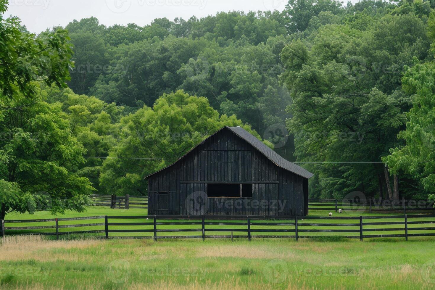 Black barn standing in green field with lush trees in background photo
