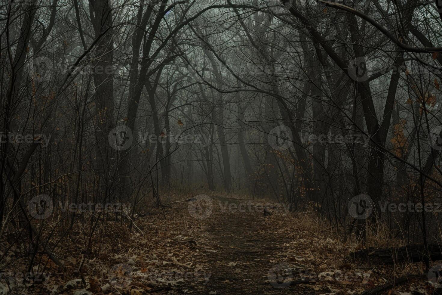Dark and gloomy path winding through foggy forest photo