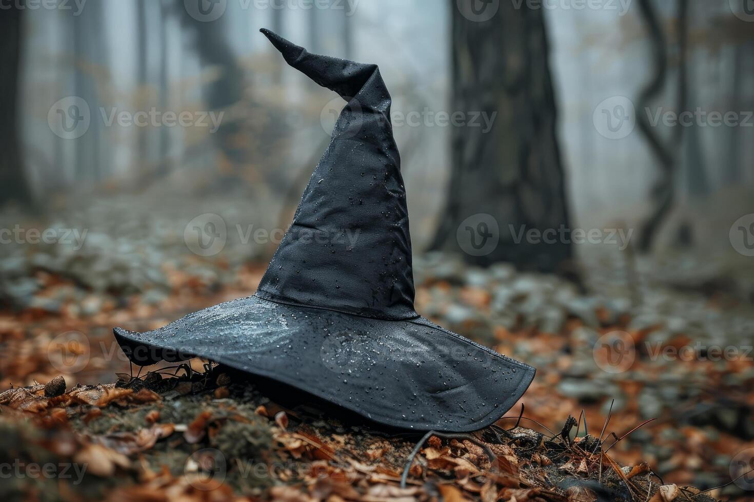Wet witch hat lying on the ground in a spooky forest photo