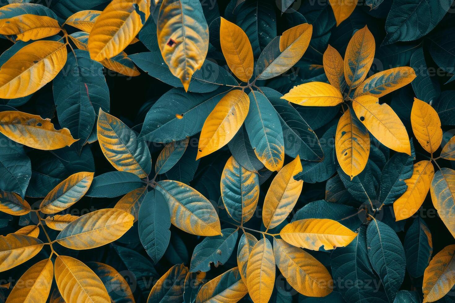 Yellow and teal leaves creating vibrant natural pattern photo