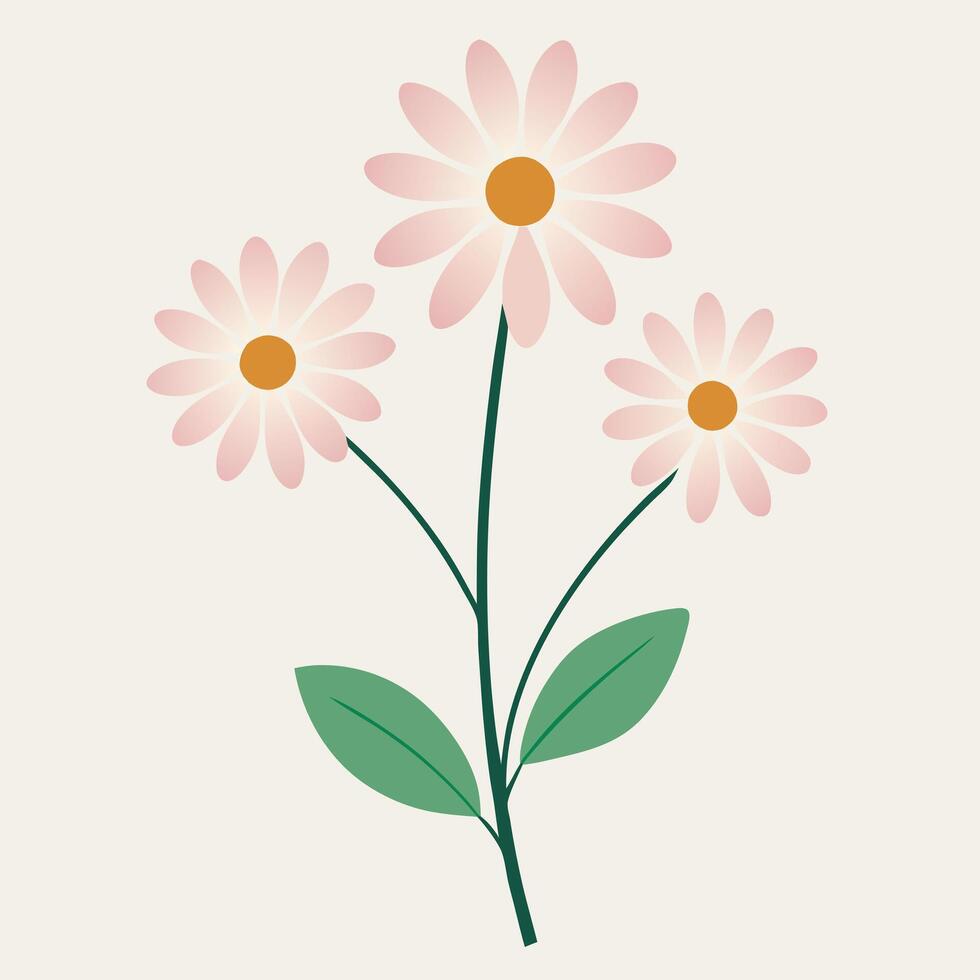 Gentle pink daisy flowers illustration on cream background for spring themes vector