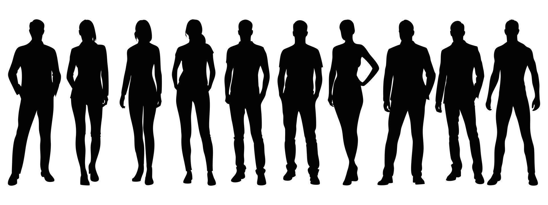 Silhouette of Diverse Male and Female Standing Figures in a Line vector
