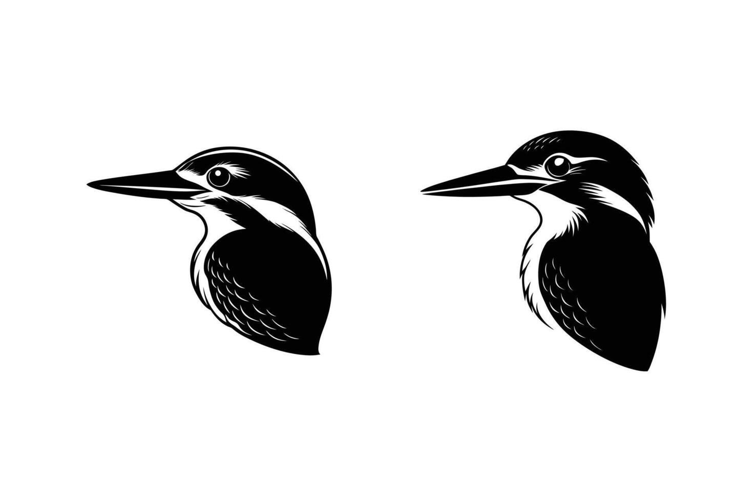 Two kingfisher heads in black and white detailed illustration of a bird vector