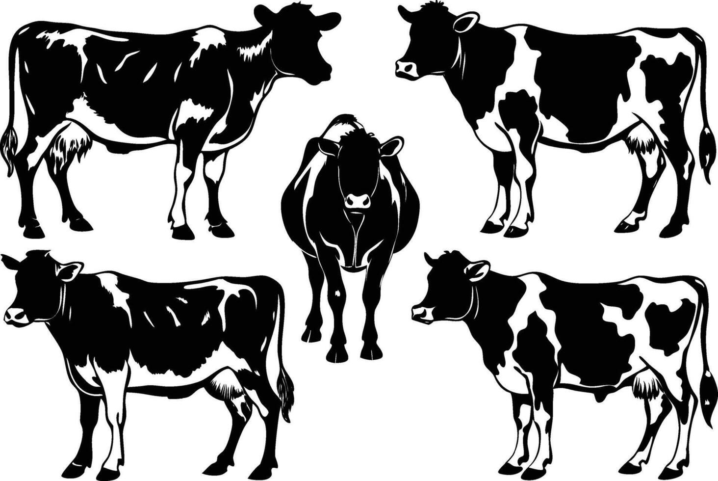 Holstein Friesian Cow Silhouette Set with Different Positions Illustration vector