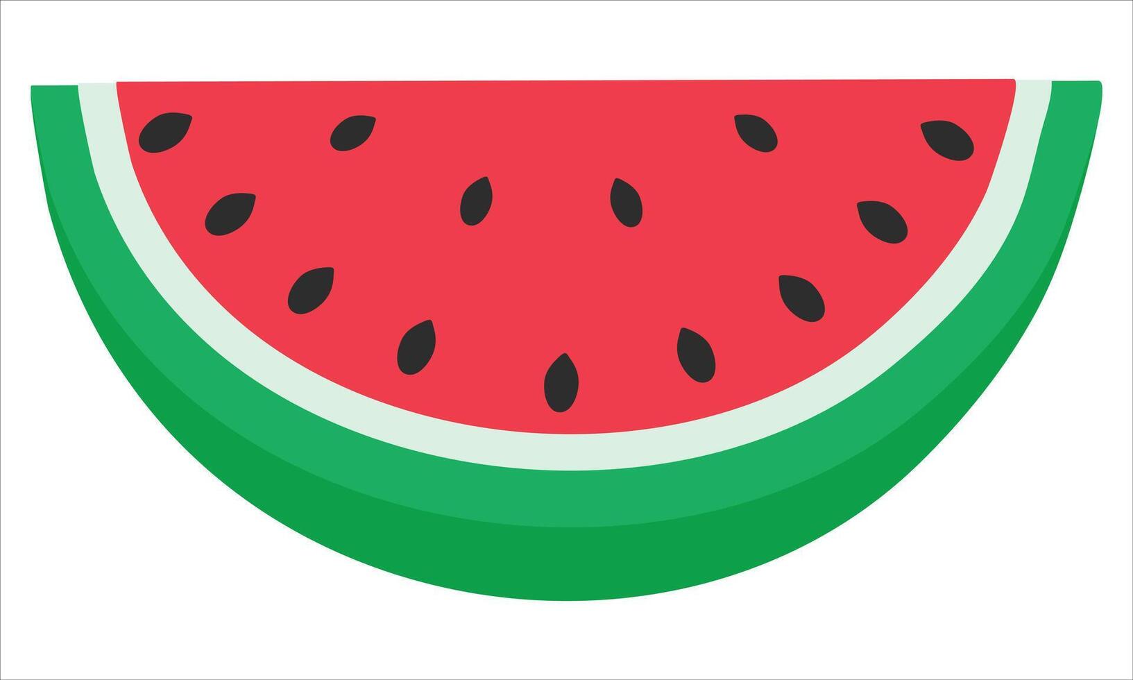 slice of watermelon is isolated on a white background vector