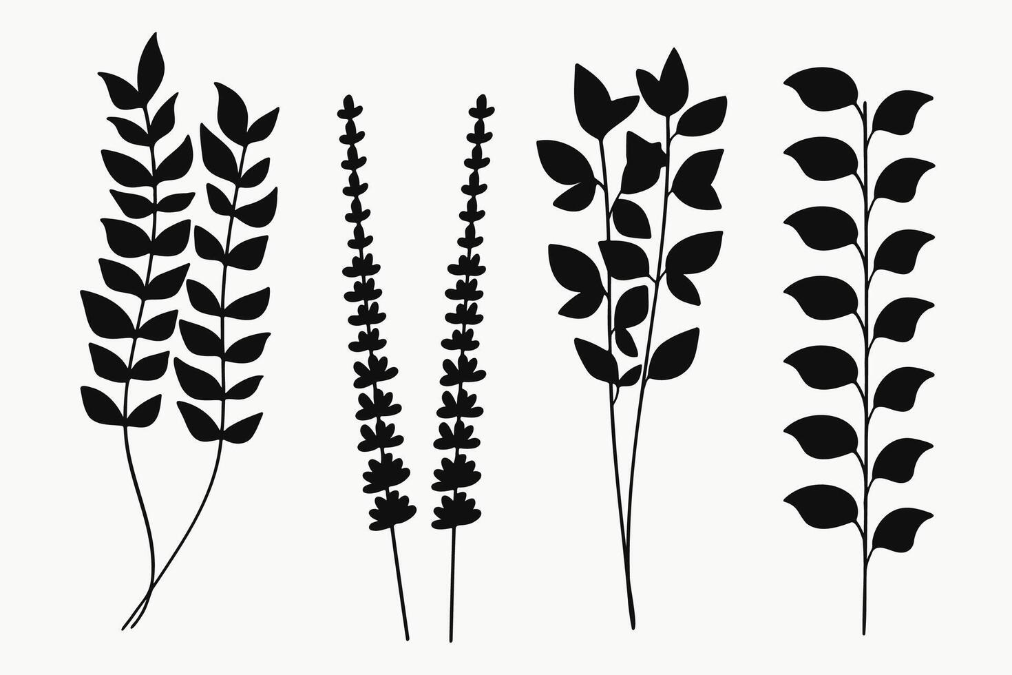 Silhouette of Leaves and Plants in Black Art vector