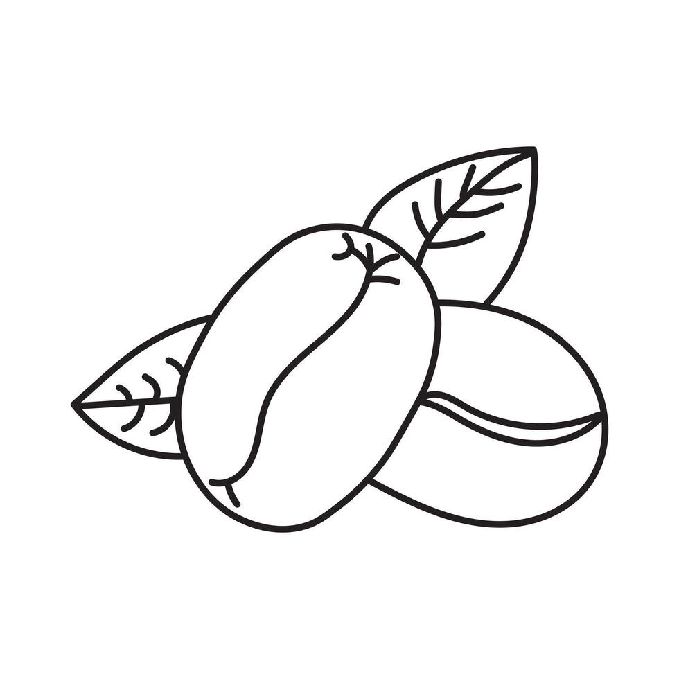 Coffee beans and leaves. tree illustration. Hand drawn coffee branch. Engraved coffee bean andplant. Coffee tree. illustration of coffee branch. vector