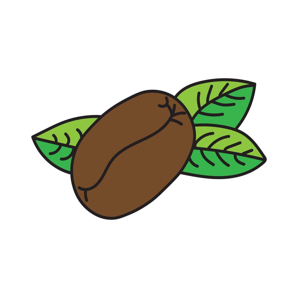 Hand Drawn Arabica Coffee Plant with Berries and Leaves vector