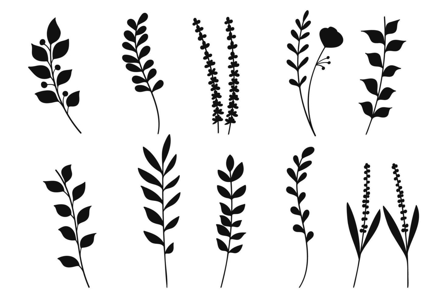 Black Plant Line Art Collection. Illustration vector