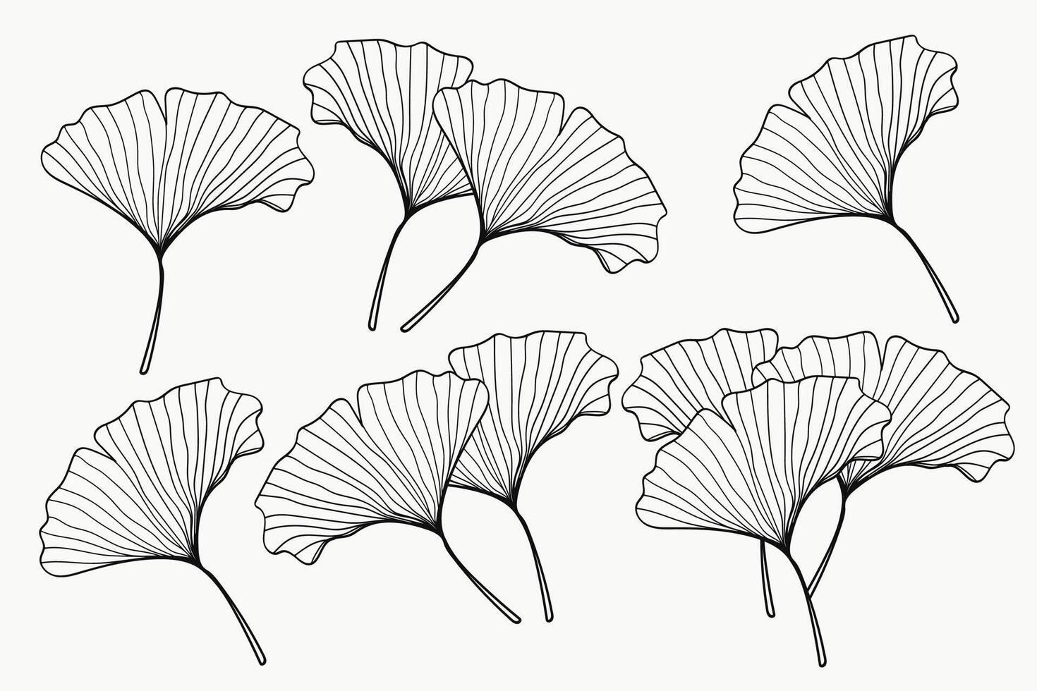 Hand-drawn Ginkgo Leaf Collection. illustration vector