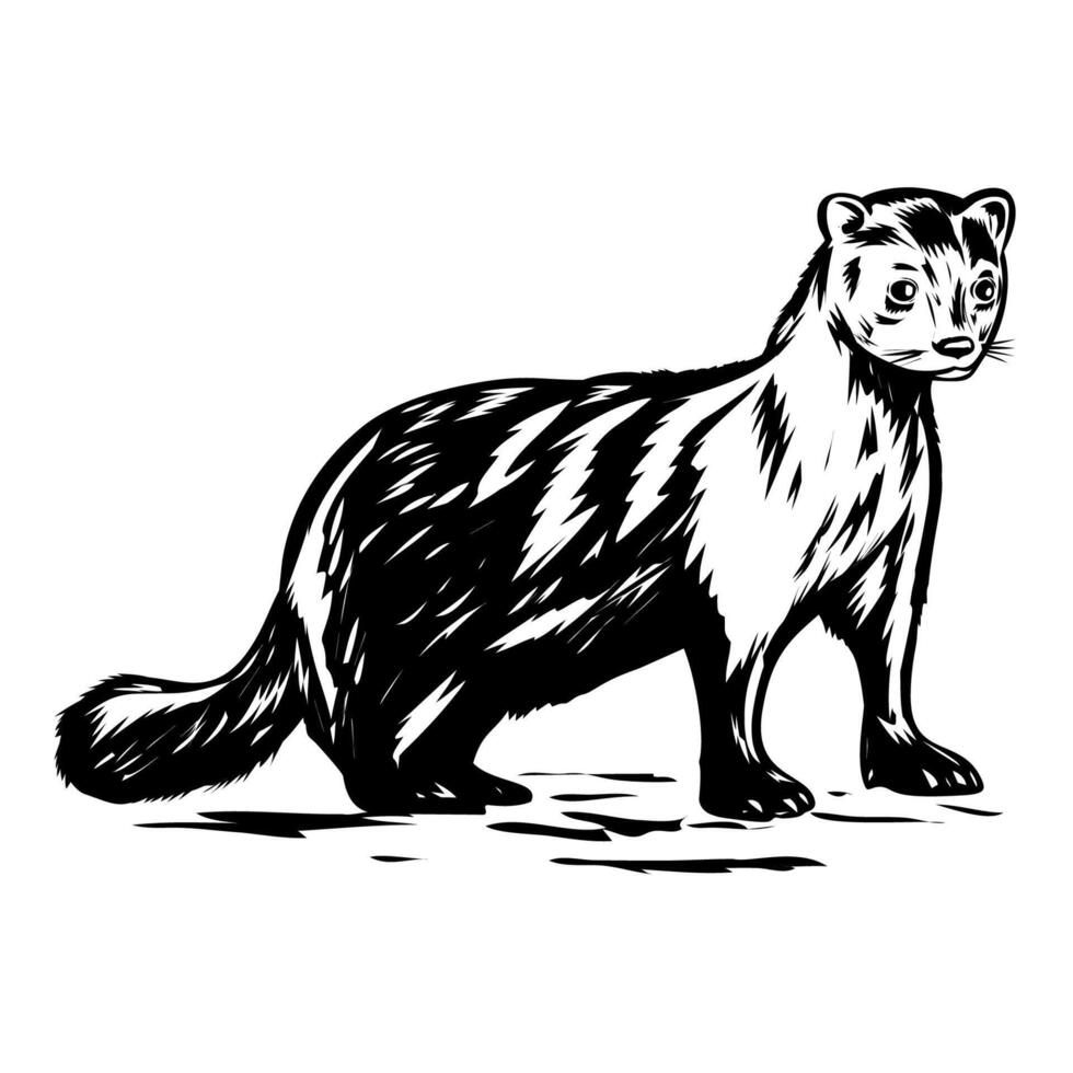 American Mink or Neogale Vison Side View Woodcut Retro Style vector