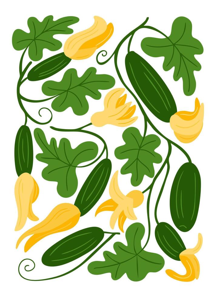 Hand drawn zucchini plant with green leaves, yellow blossoms and vegetables on white background. Concept of organic farming, harvest and seasonal garden produce vector