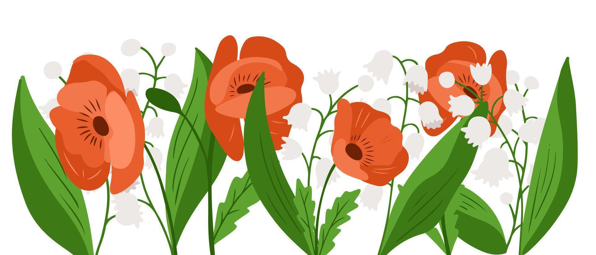 Horizontal floral border with hand drawn red poppies and white lily of the valley on white background. Concept of spring bloom, floral decoration and nature banner for seasonal design vector