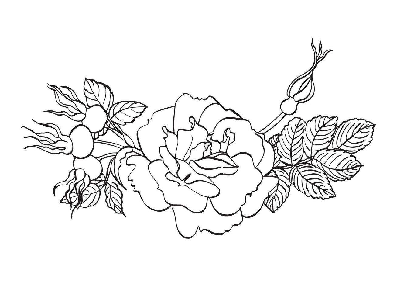 Rosehip flower with berries and leaves. hand drawn floral illustration of blooming wild rose in line art style vector