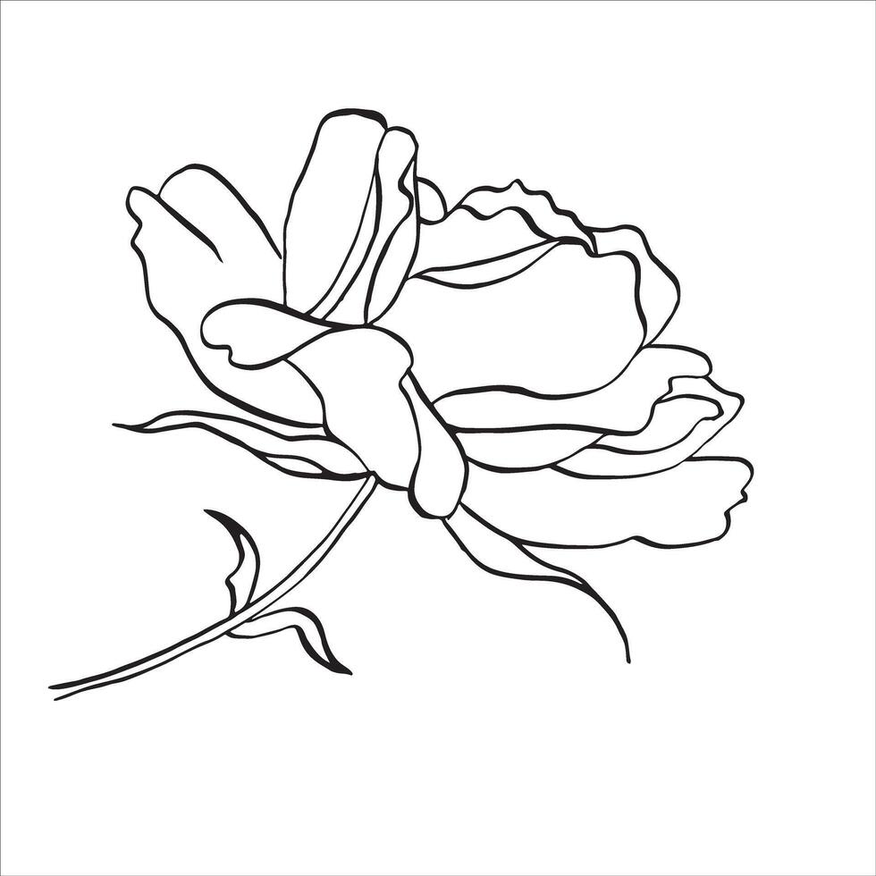Wild rose flower on stem with leaves. hand drawn floral illustration of blooming rose hip in line art style vector