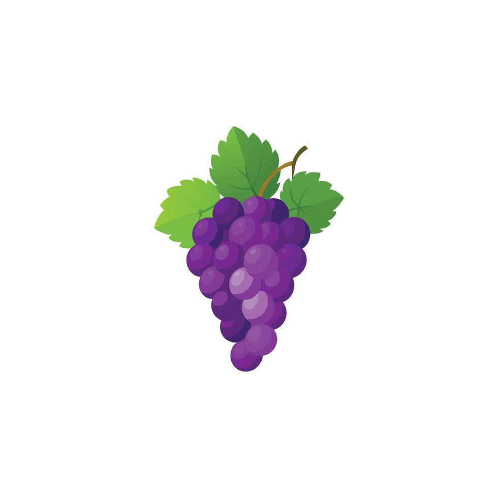 Juicy Purple Grapes Cluster Design vector