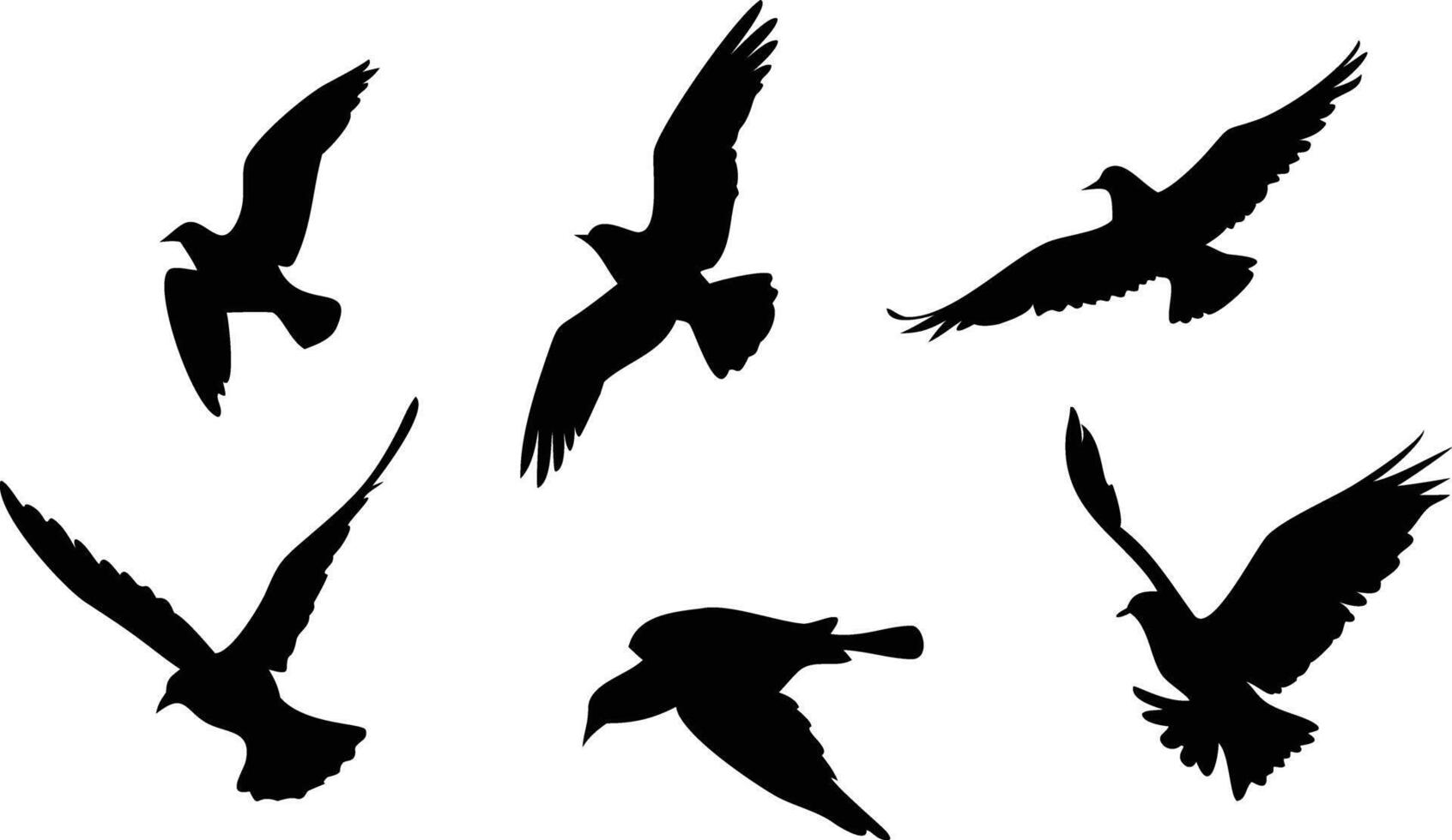 Elegant Bird Silhouettes for Web and Print vector