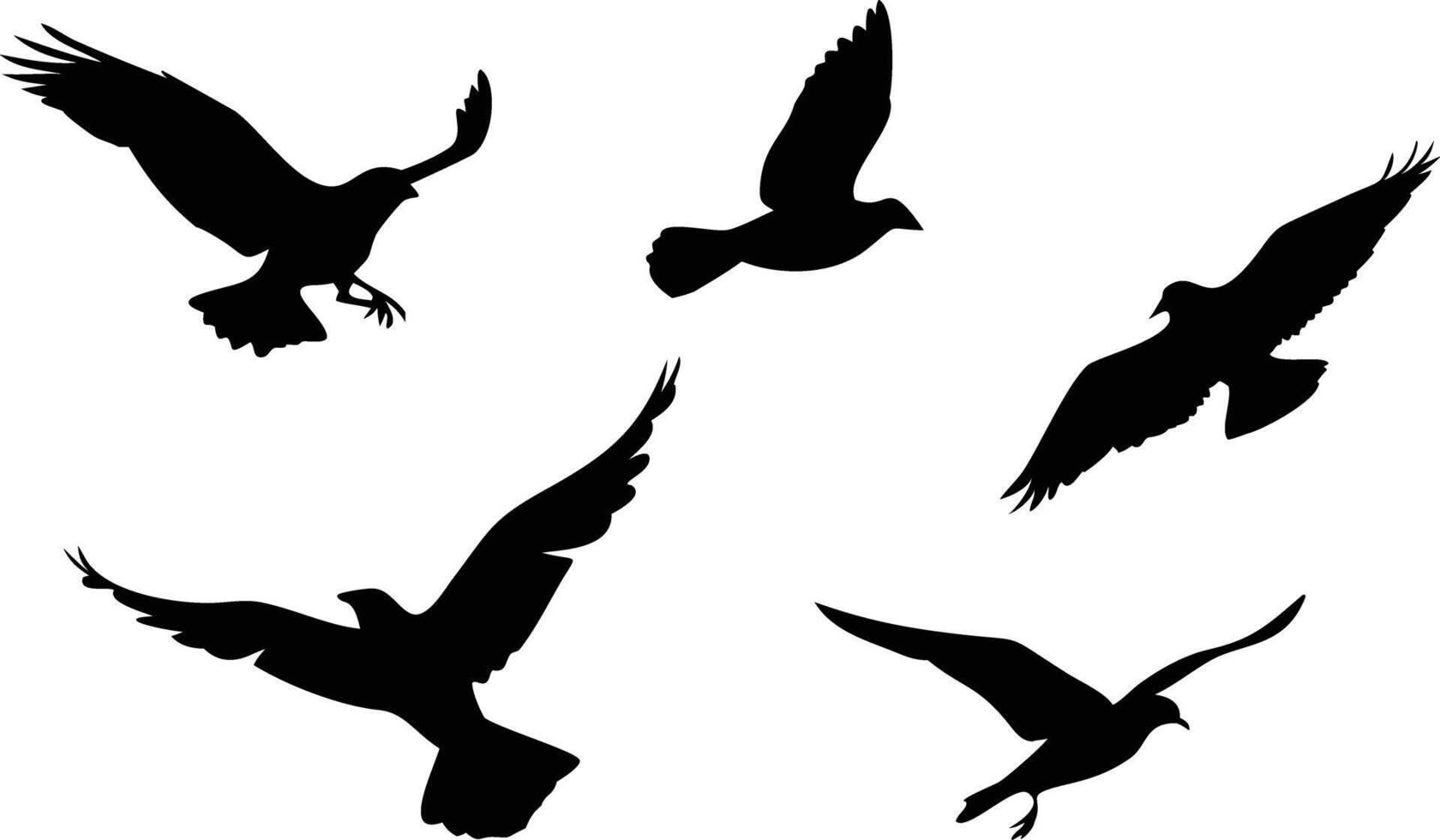 Black Bird Silhouettes for Design and Branding vector