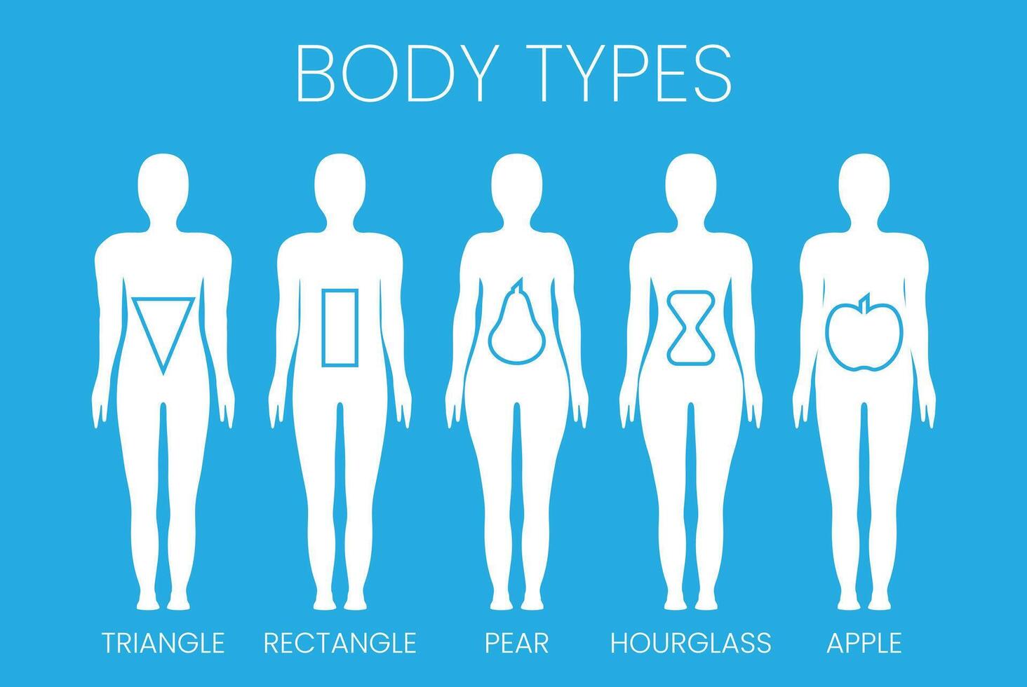 Gender Neutral Body Shape Types Triangle, Rectangle, Apple, Pear and Hourglass for Women and Men vector