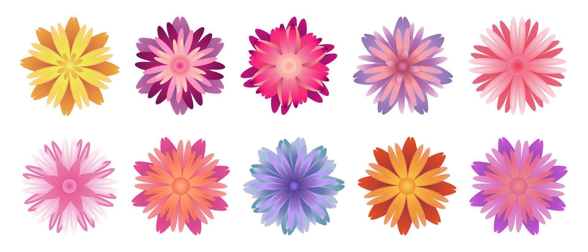 Beautiful Isolated Flower Collection. Floral Set vector