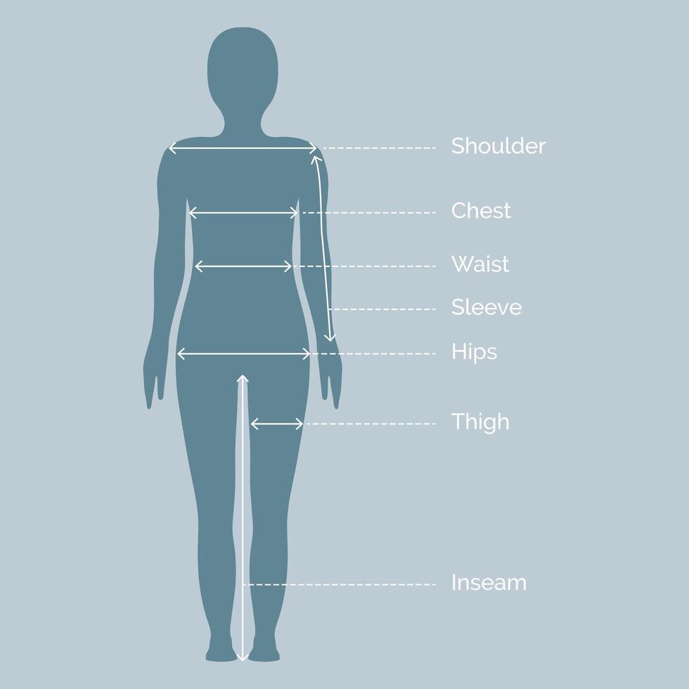 Simple Gender Neutral Body Measurement Proportions for Clothing Design and Sewing Chart for Fashion Illustration for Man and Woman vector