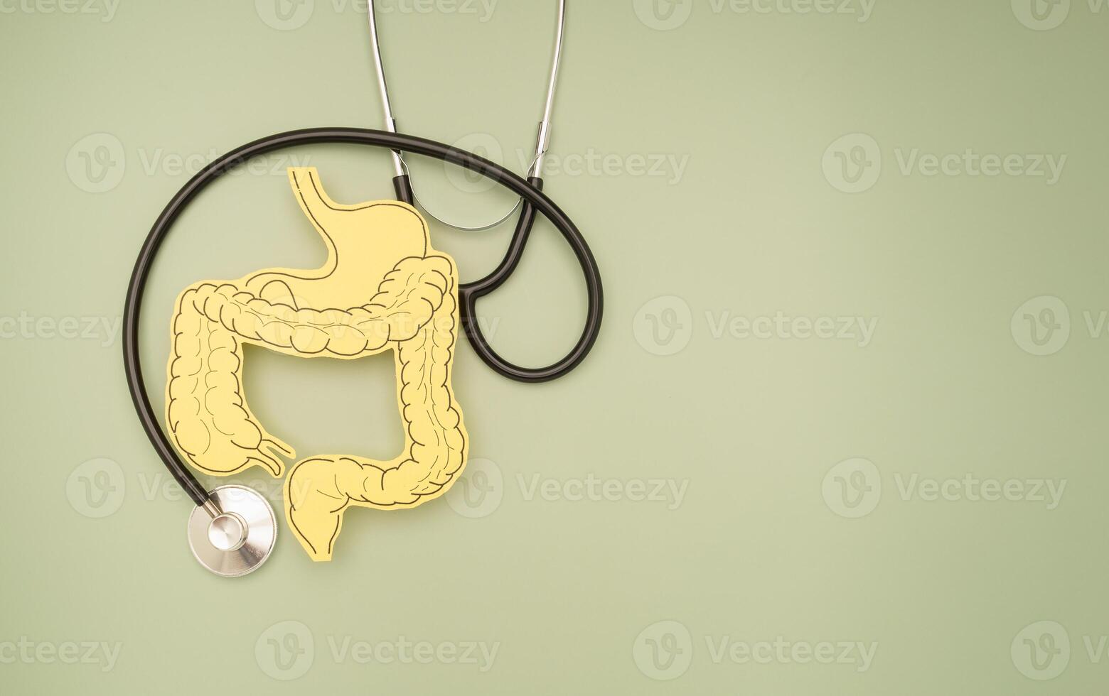 Top view of a stethoscope and large intestine symbol made on a green background. photo
