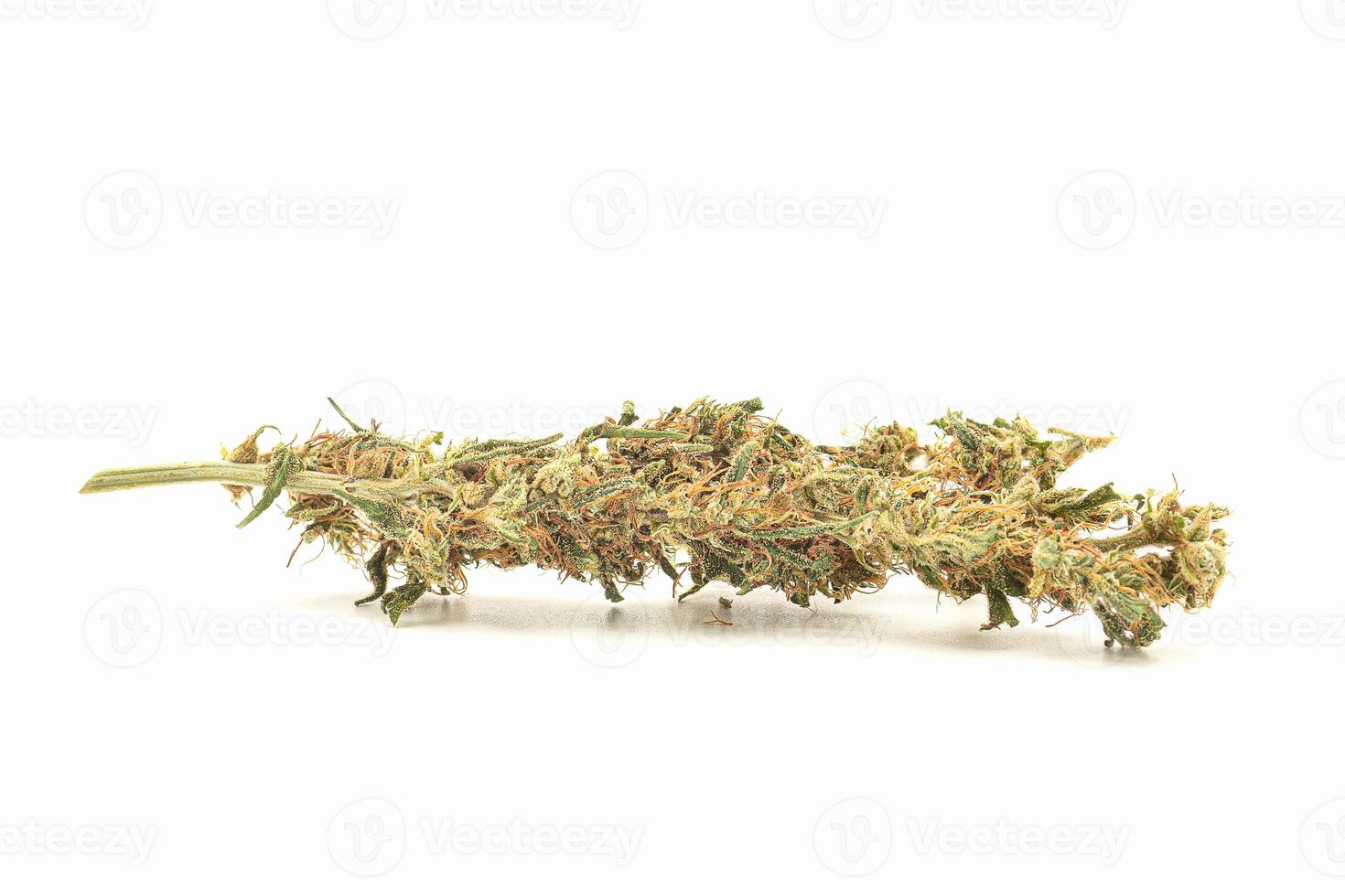 Premium dry cannabis buds on a white background. Close-up. photo