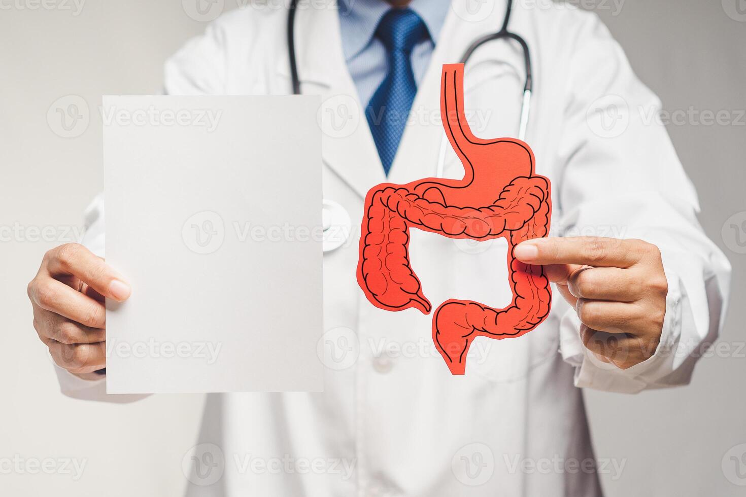 Doctor holding an intestine symbol and a blank paper while standing in the hospital photo