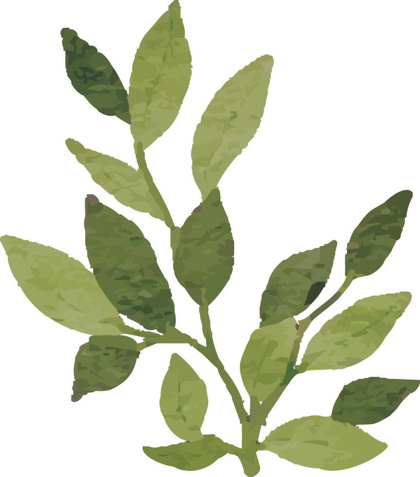 Neutral Green Botanical Element vector