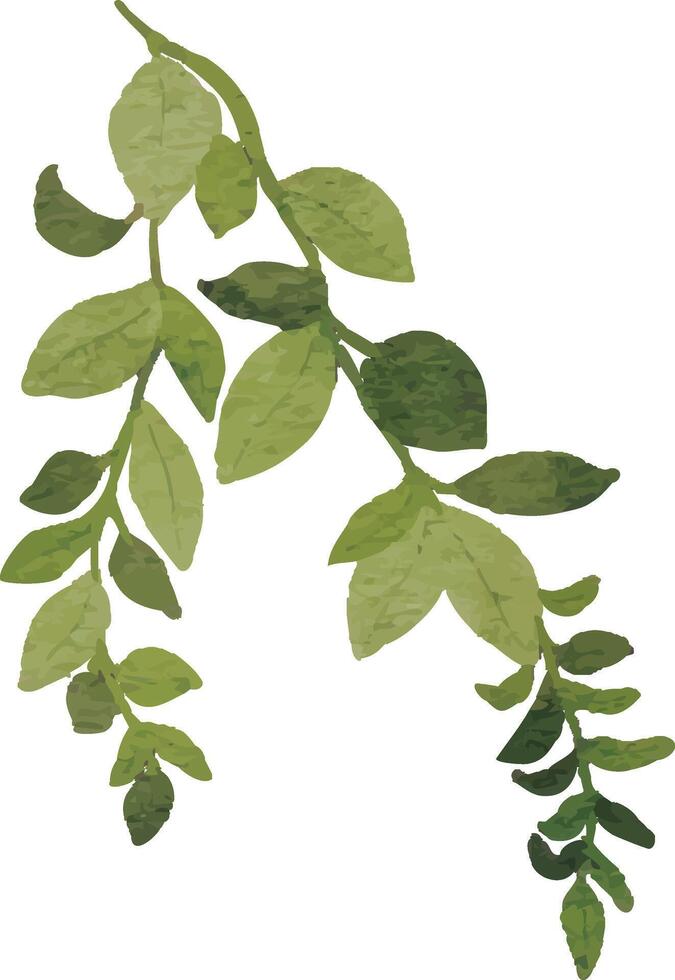 Wild Botanical Stem Illustration vector